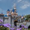 What is and what will not be available when the Disneyland Resort reopens