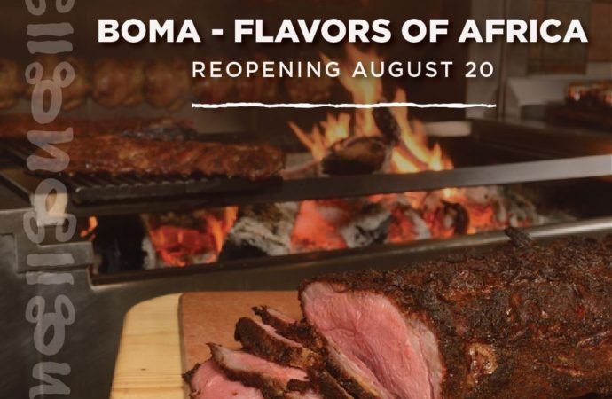 Boma at Disney's Animal Kingdom Lodge to return, other buffets may return  in the near future – Disney Matters