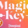 Opinion: New Annual Pass Program announced “MagicKey”