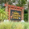 Walt Disney World at 50: The History of Disney’s Animal Kingdom Lodge – Part Three